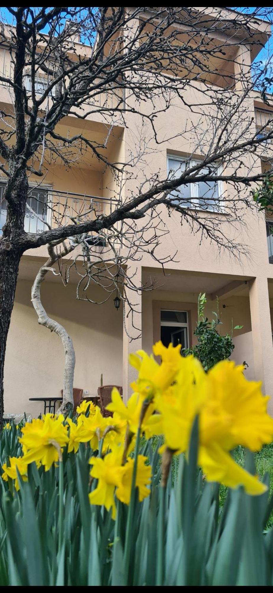 Casa M Apartman Tivat Kültér fotó